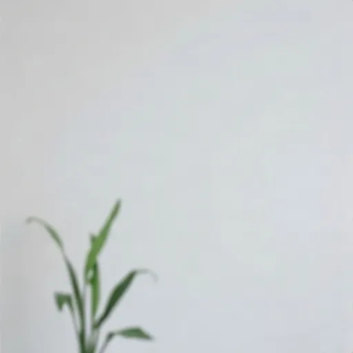 美容専門家2